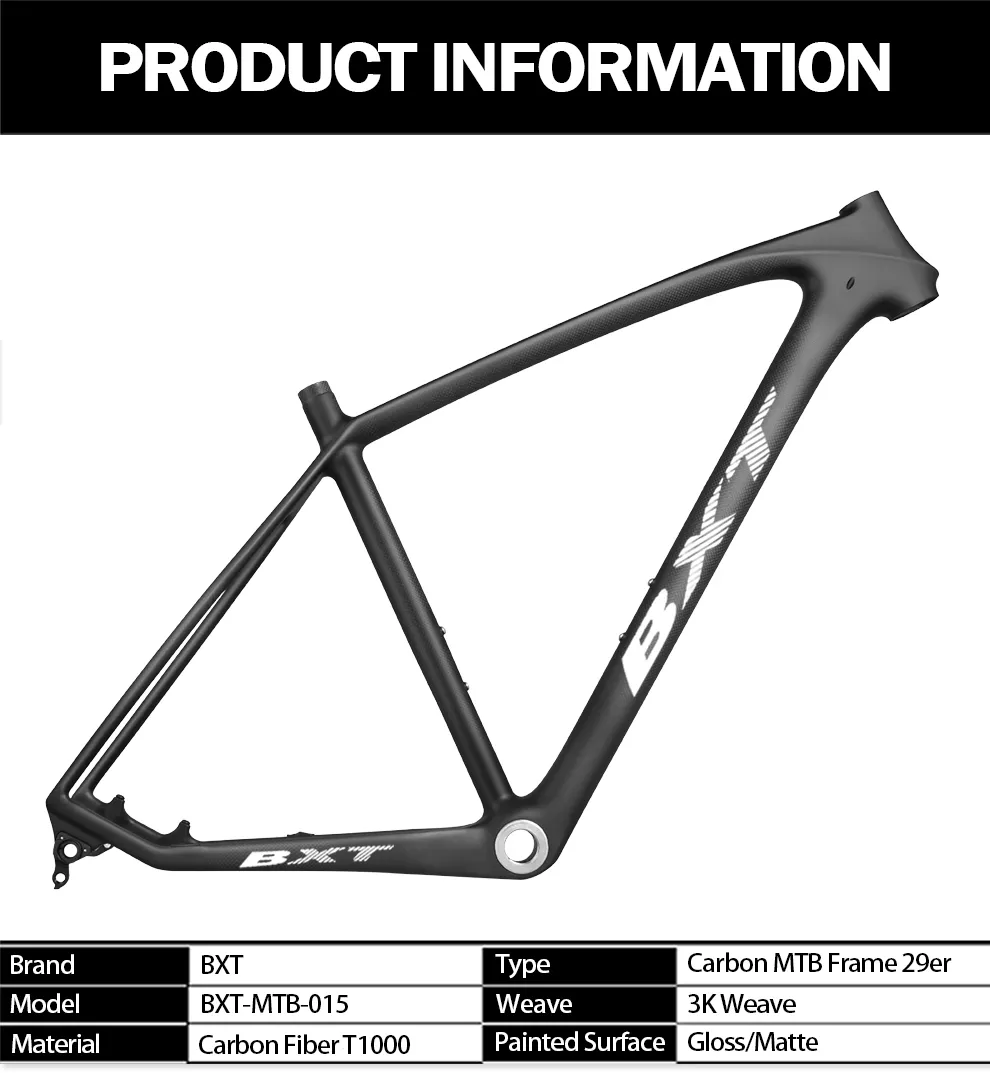 BXT bicycle frame