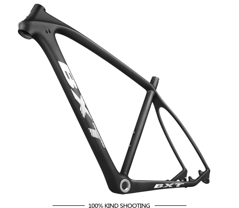BXT bicycle frame